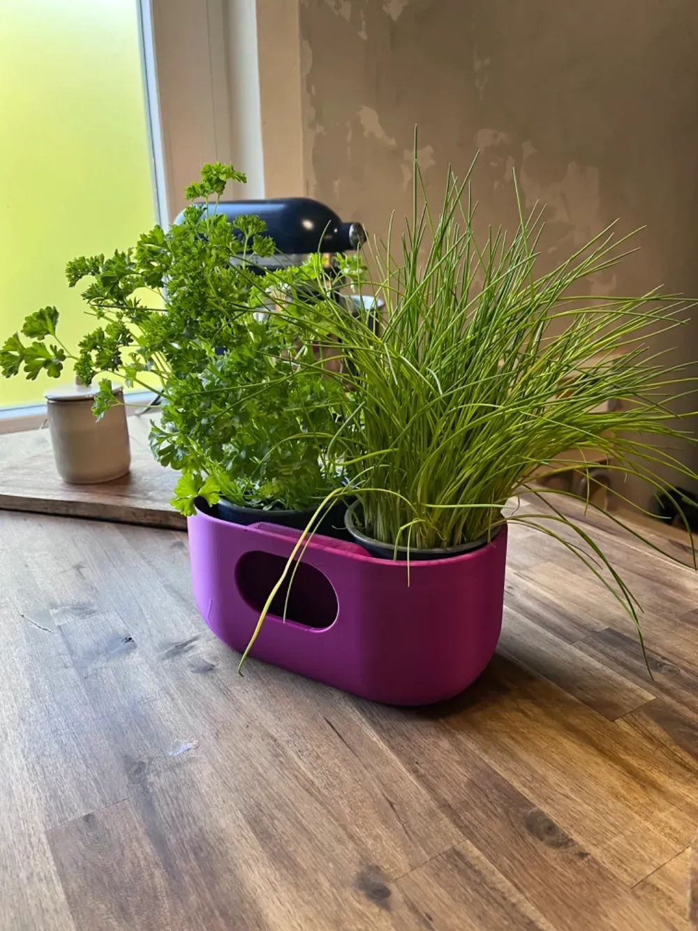 Self-Watering Design Planter for effortless plant care