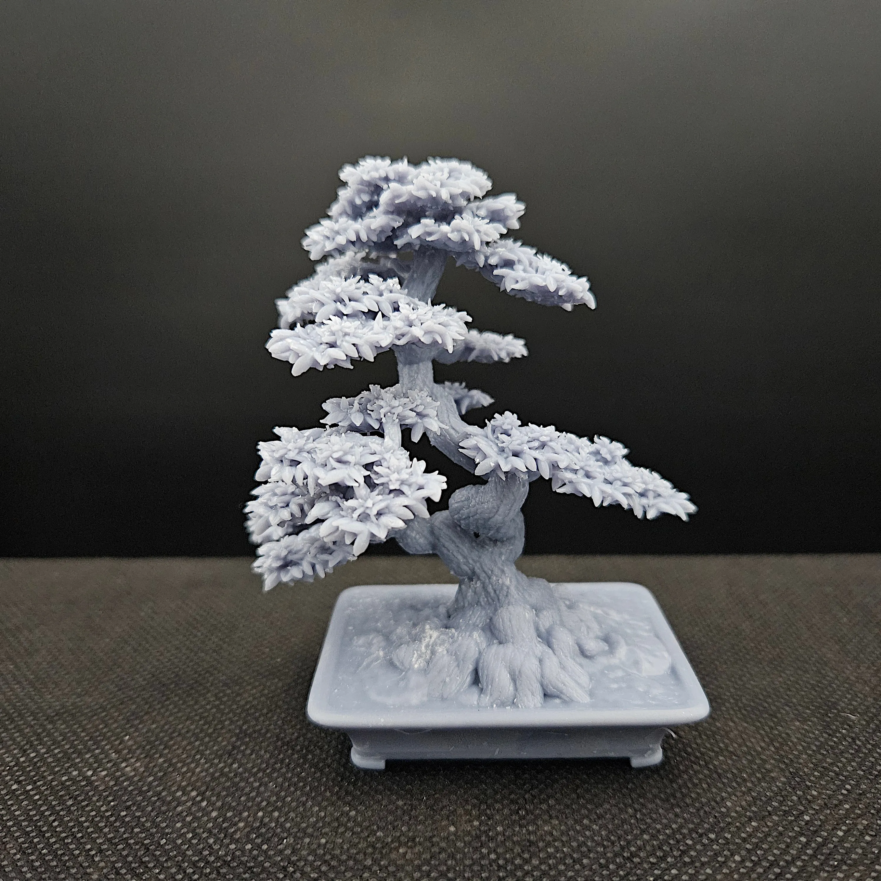 bonsai tree 8. azalia