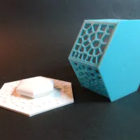 Voronoi Hexagonal Box-3