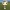 Funko Golfista