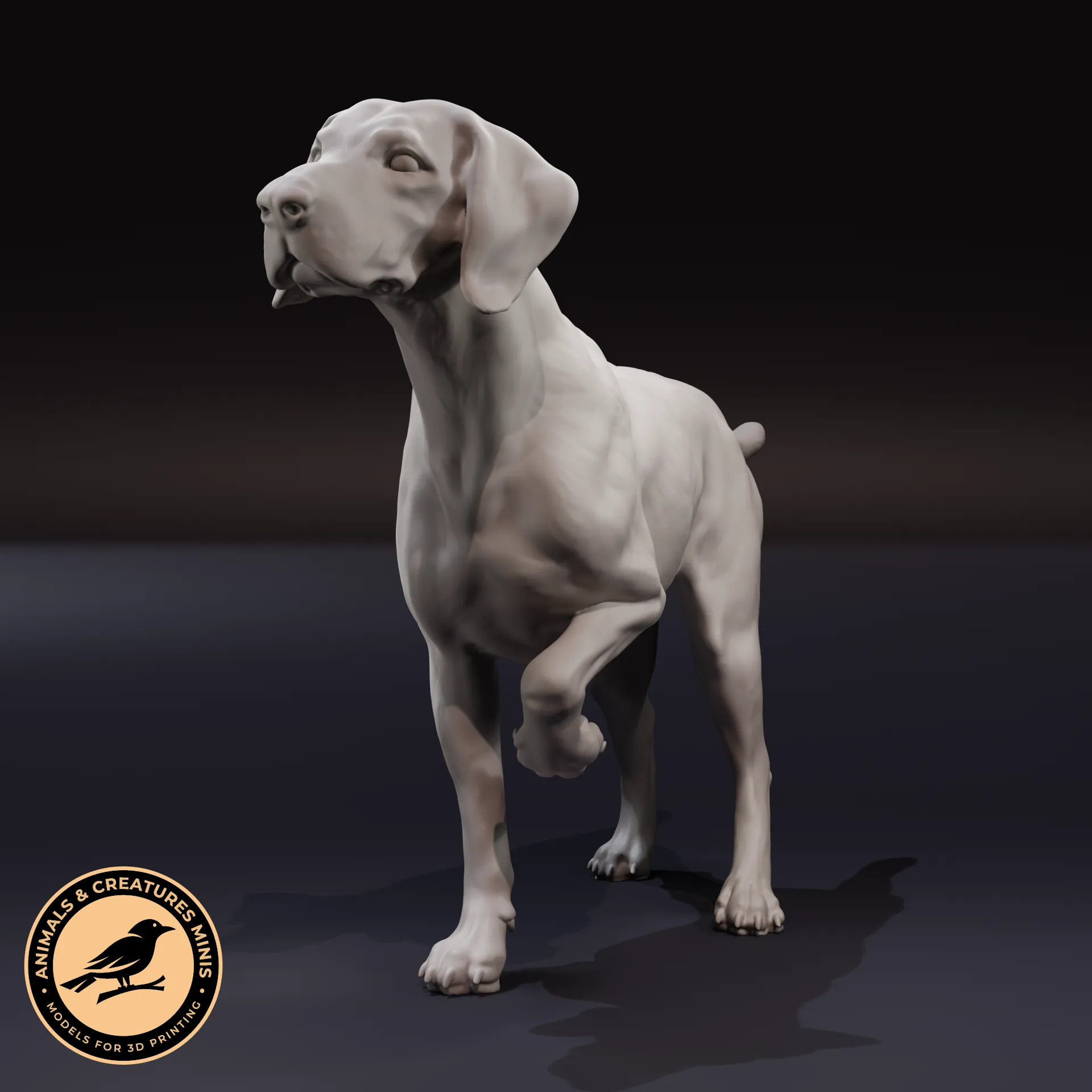 German Shorthaired Pointer