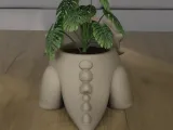 Cute Triceratops Dinosaur Planter 3D Print File-4