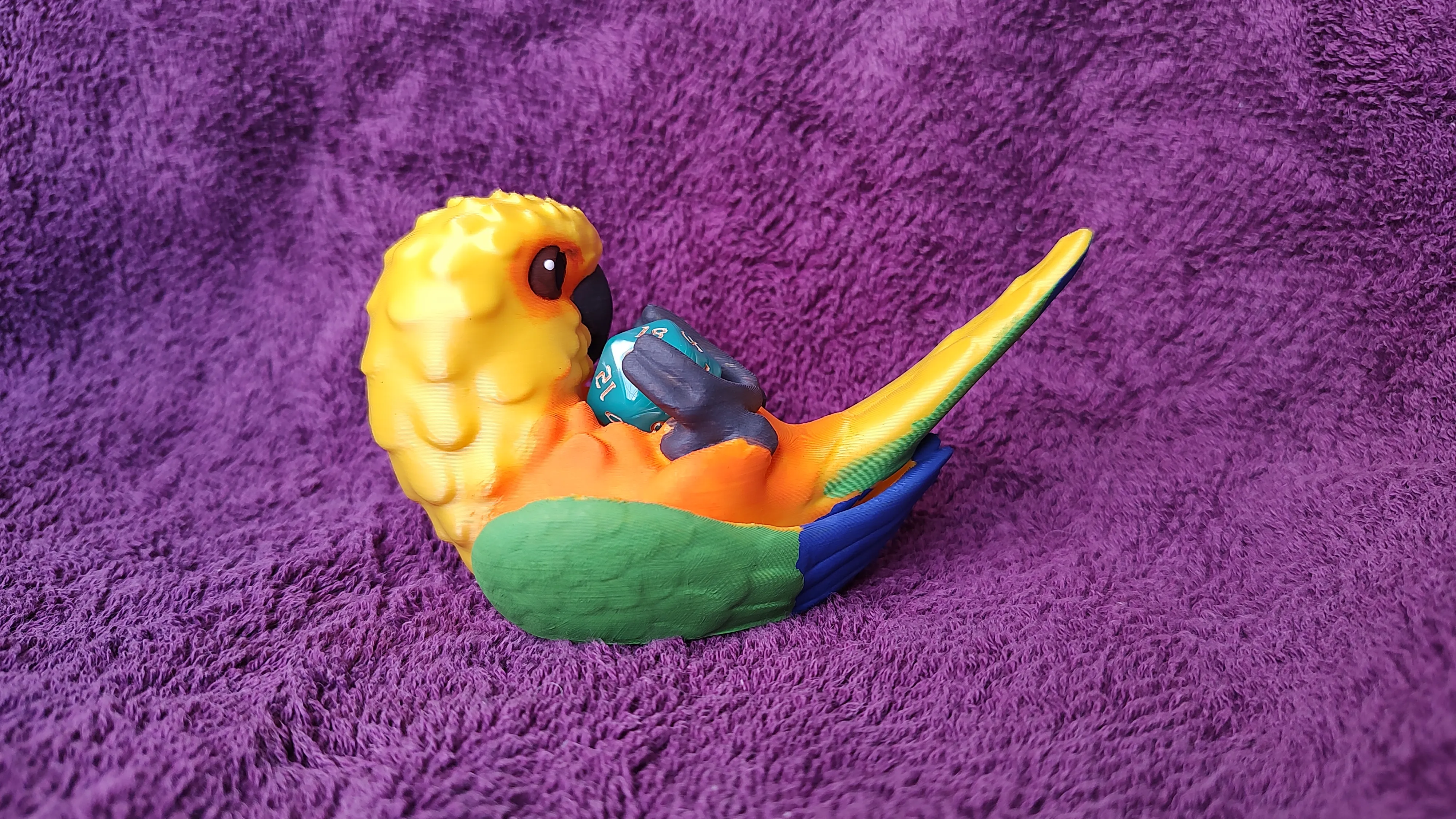 Conure Dice Guardian