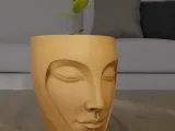 Serenity Face Planter 3D Print Model-8