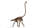 Brachiosaurus Skeleton - 3D Print Model-6
