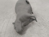 two-tail-capibara-4