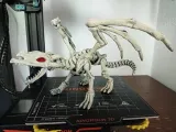 Dragon-1