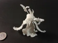 Vus - Spear Maiden to Morrigan - PRESUPPORTED - 32mm Scale-5