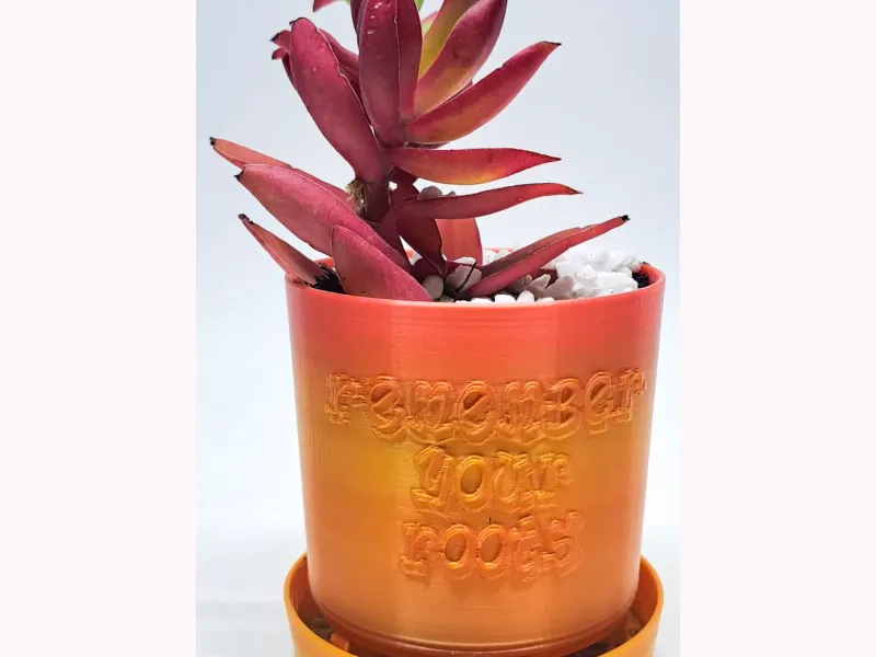 Punny Planter 09 - Remember your roots