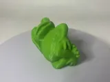 Frog cool-5
