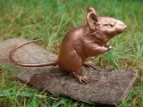 Wood Mouse-2