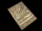 Okidogi Ex - Pokemon card-6