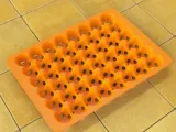 Egg Tray-0