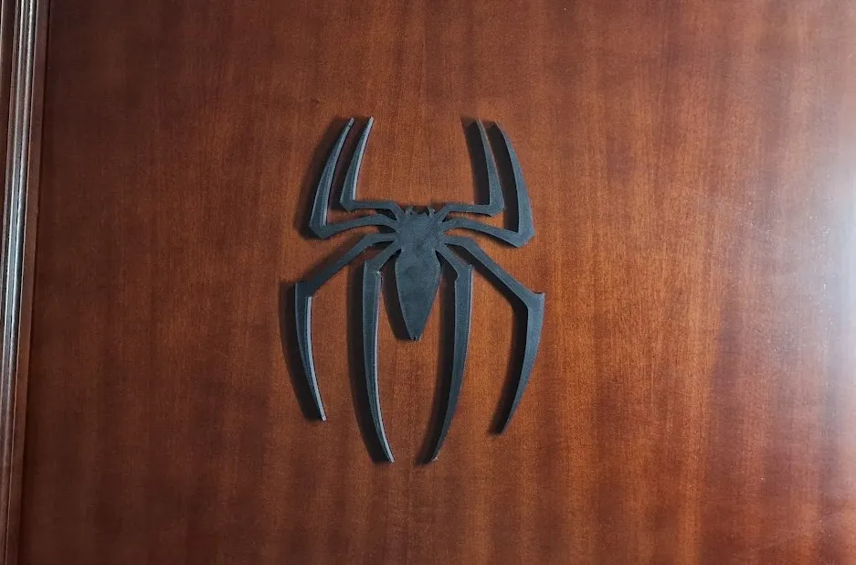Spider sign 🕷️​