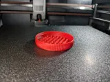 Nutella Lid Fly Trap 2.2mm-1