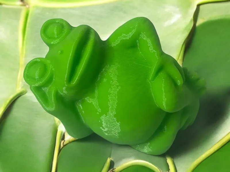 Frog cool