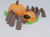 Jack o Spider-0