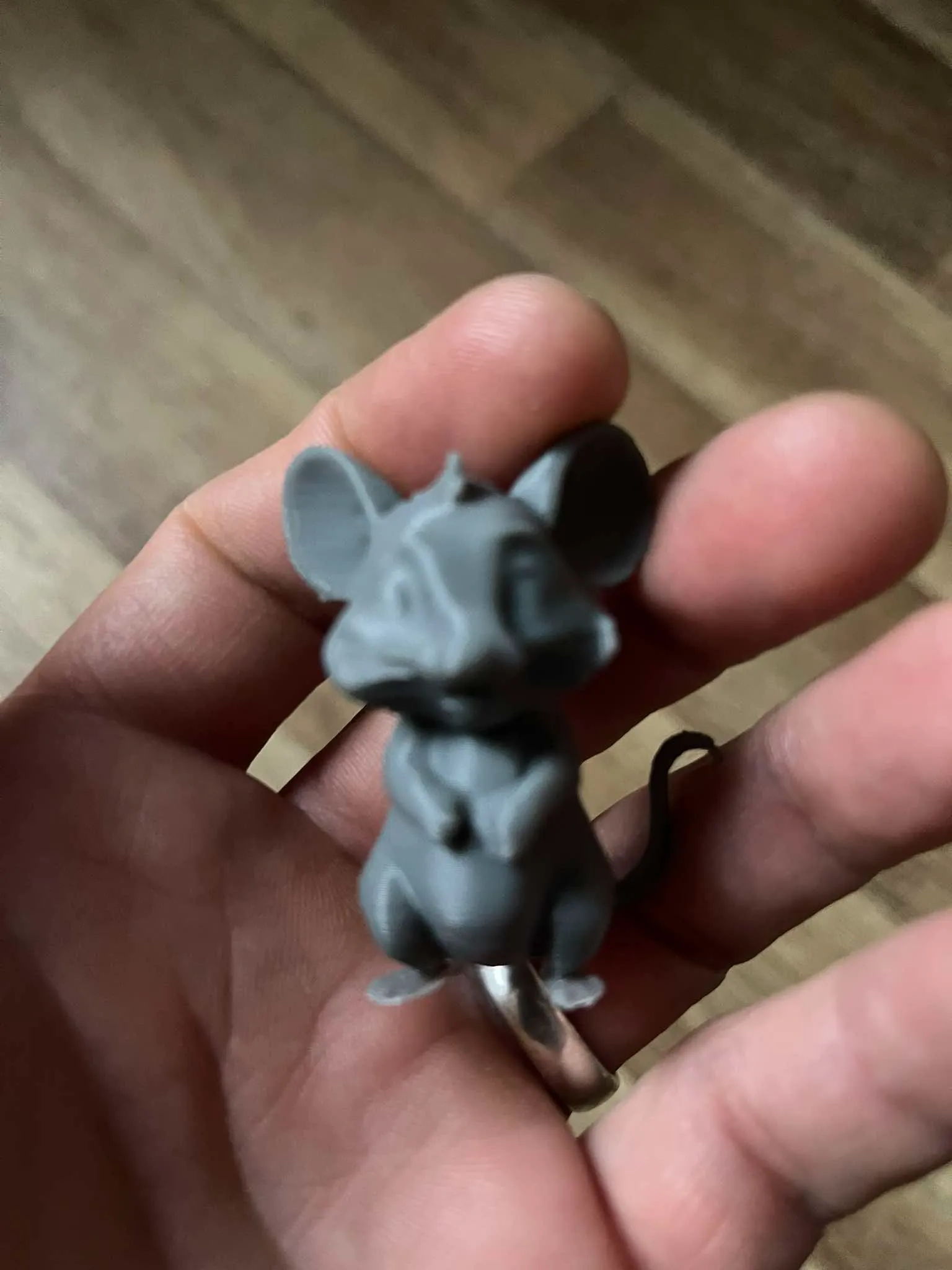 Cute rat family