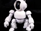 CUSTODIA ROBOT PER TELECAMERA SMART XIAOMI-3