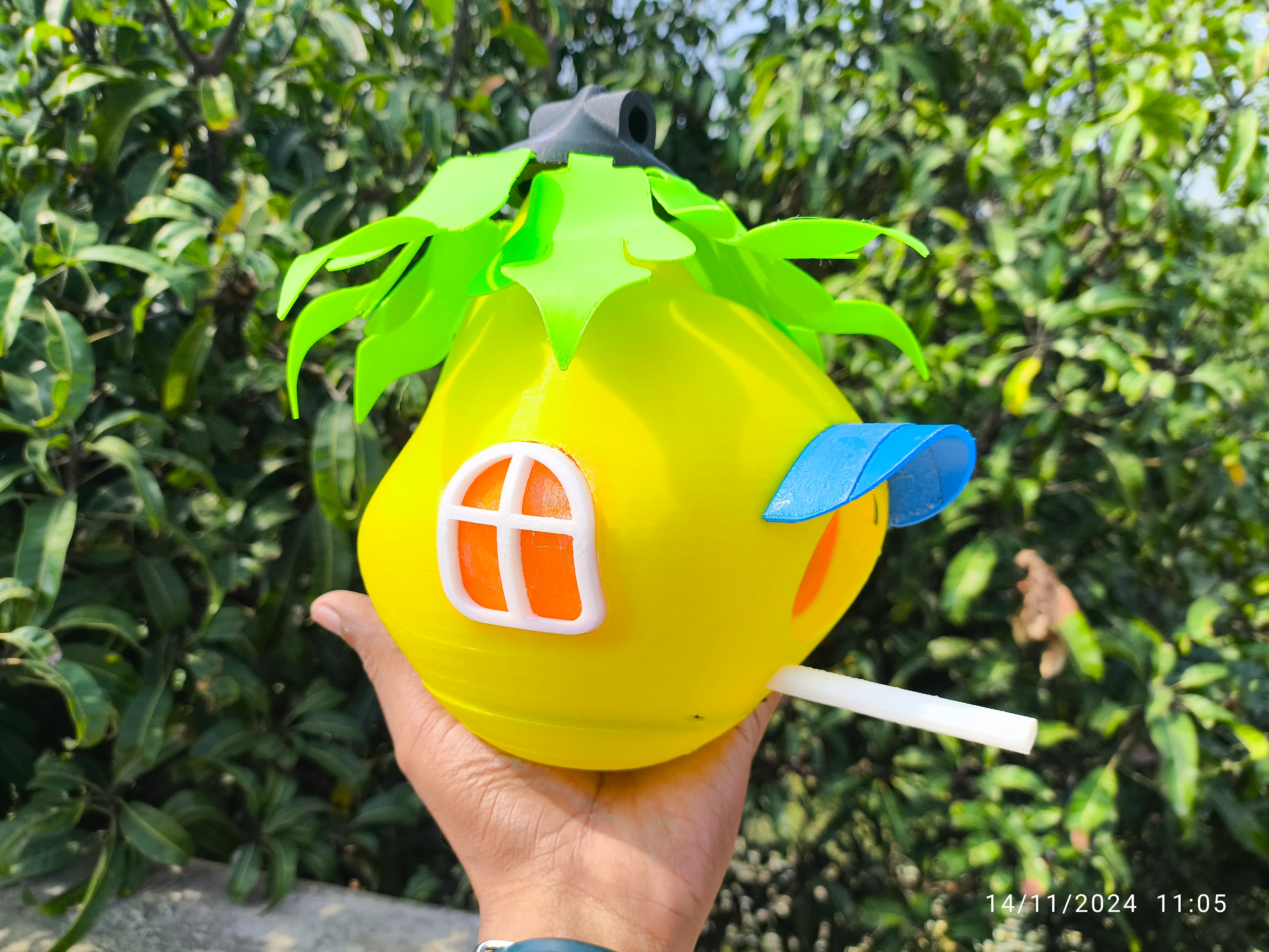 "Bird House-In Nature"