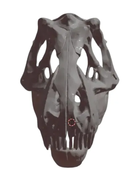 Maschera cranica di T-Rex con mascella mobile Modello 3D File STL