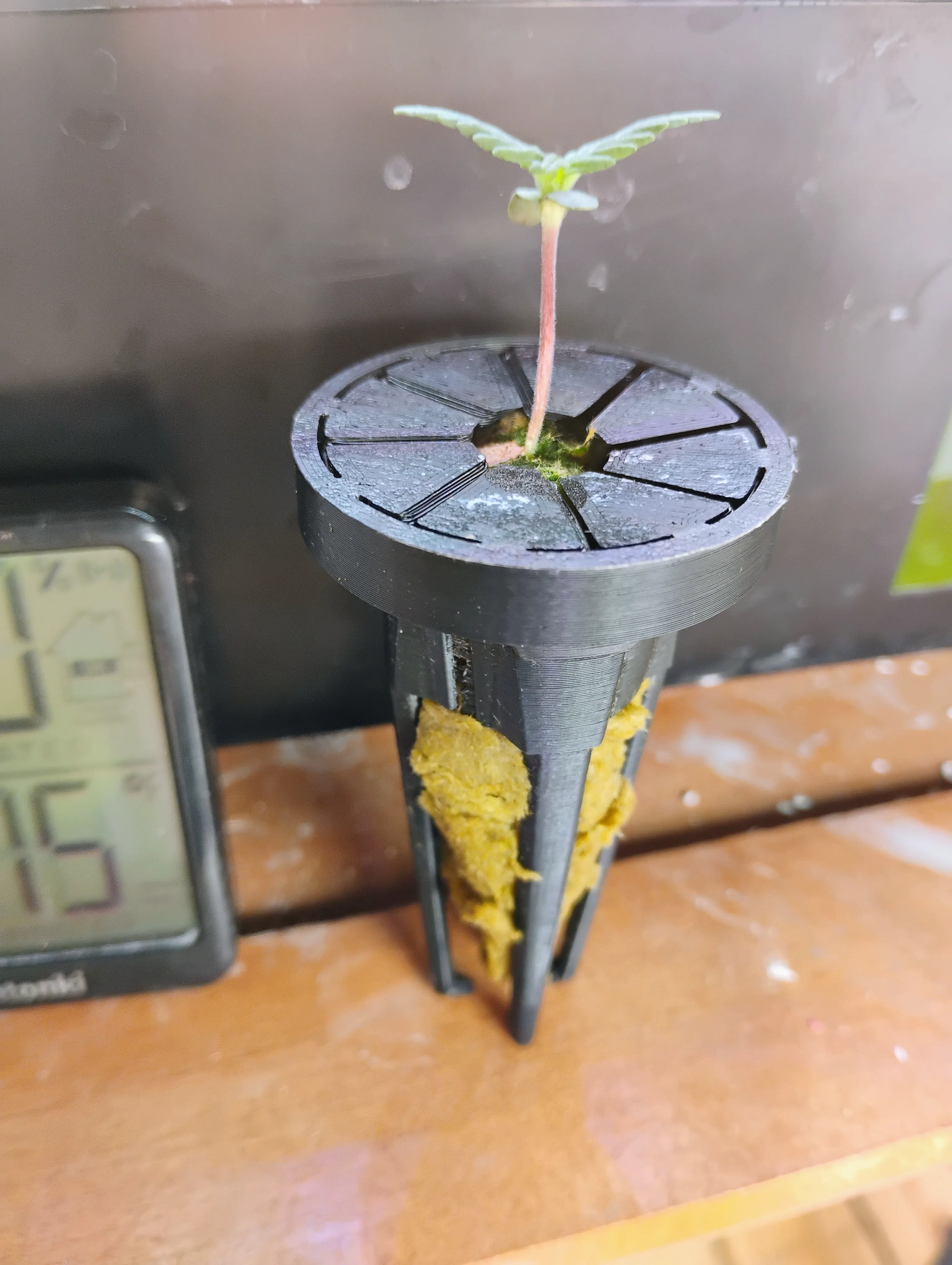 Aerogarden Seedling Starter kit DWC Hydroponic