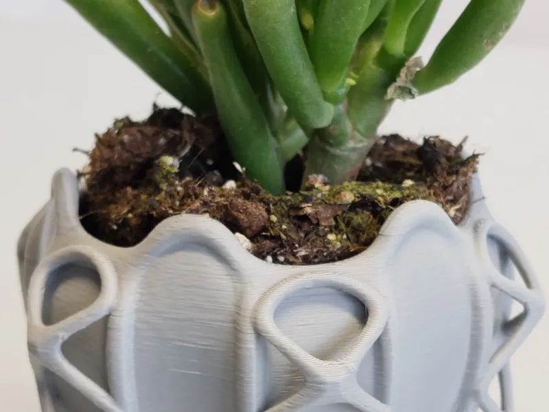 Pot Interior Decor Z