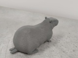 two-tail-capibara-1