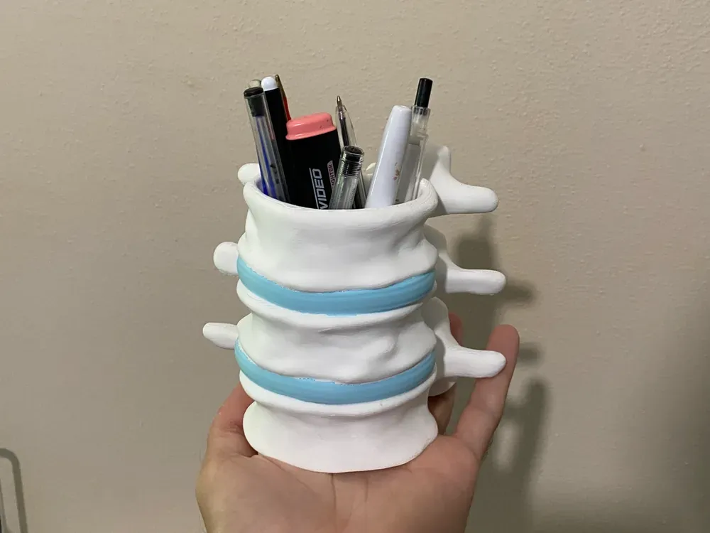 Vertebrae-Inspired Pen Holder