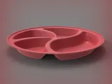Partition Plate-1