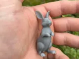 Wild hares-3