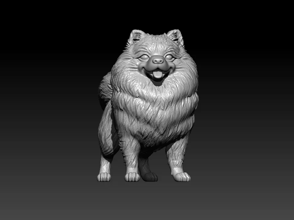 Pomeranian dog - German Toy Spitz Dog - 3D print