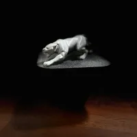 Puma Logo-1