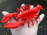 ARTICULATED FLEXI CRAYFISH-1