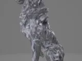 Dog, Shadow-6