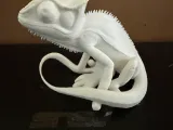 Lizard 3-3