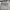 2025 Brille