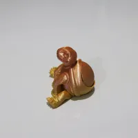 turtle keeps jewelry (not support)-1