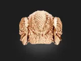 Eagle Ring-7