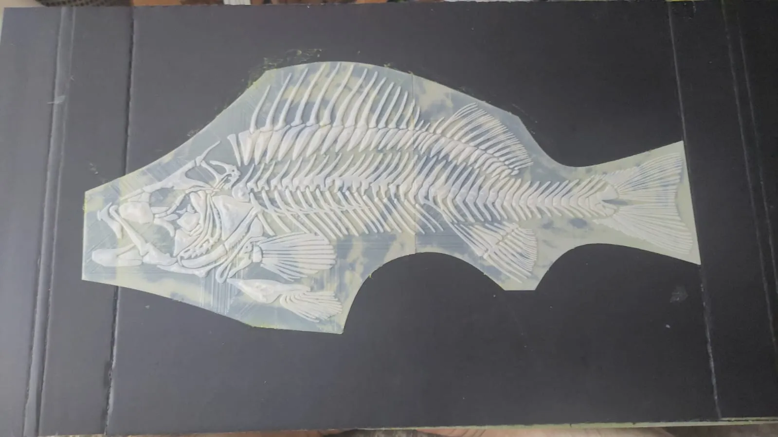 Fossil Fish Replica – Paleoart Wall Display