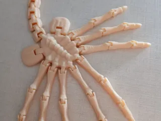 Flexi Facehugger
