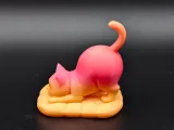 伸懒腰的猫-3