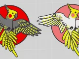 Cockatiel Coaster-7