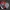 Nikke Goddess of Victory Red Hood emblem