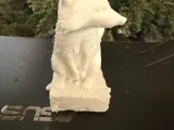 Racoon 1-1