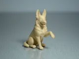 German Shepherd-4