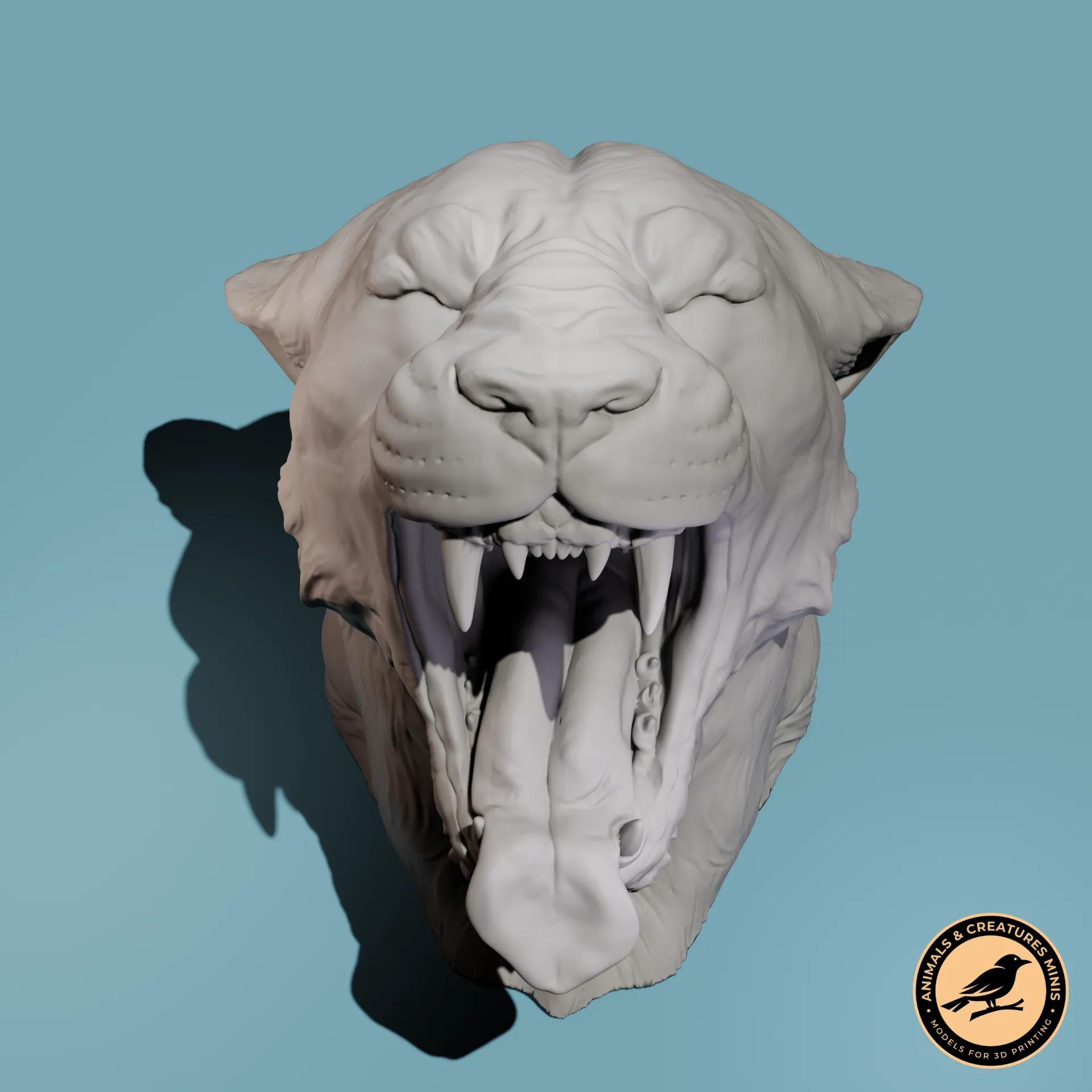 Lioness yawns