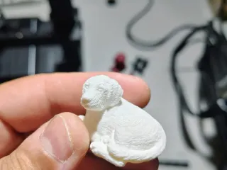 Dog1