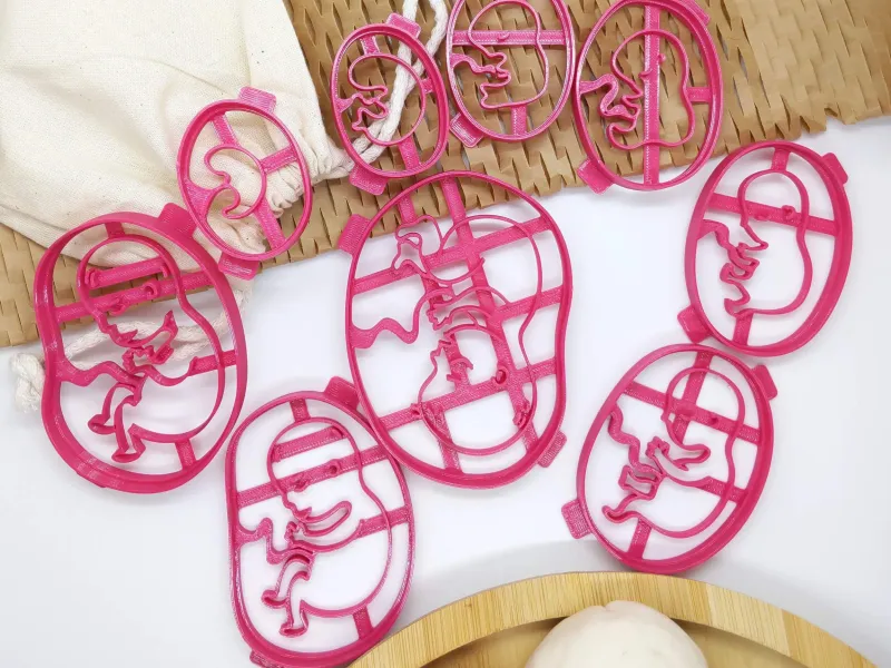 Human Prenatal Development - Cutter set