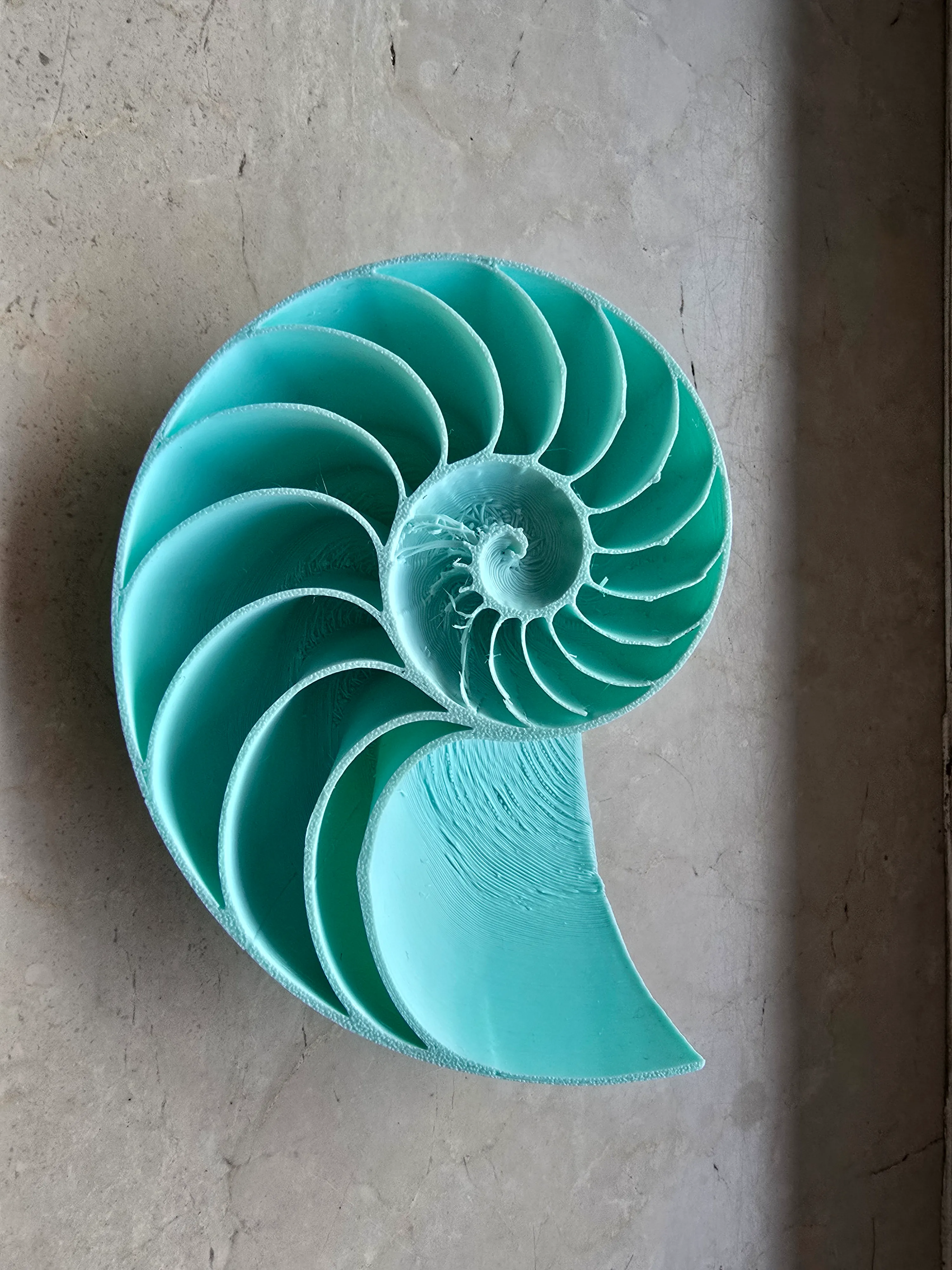 Free Other STL Download - Nautilus shell modby raximax